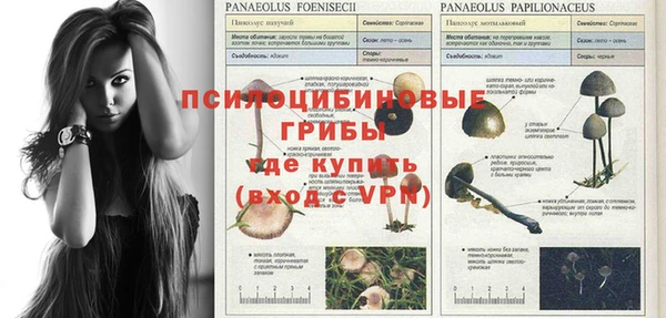соль курить ск Балахна