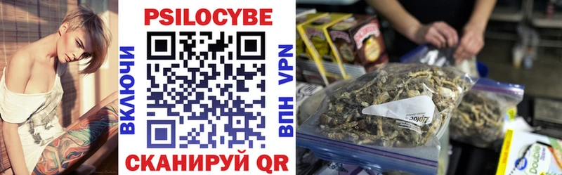 Галлюциногенные грибы Psilocybe  mega ссылки  Краснодар  магазин продажи наркотиков 